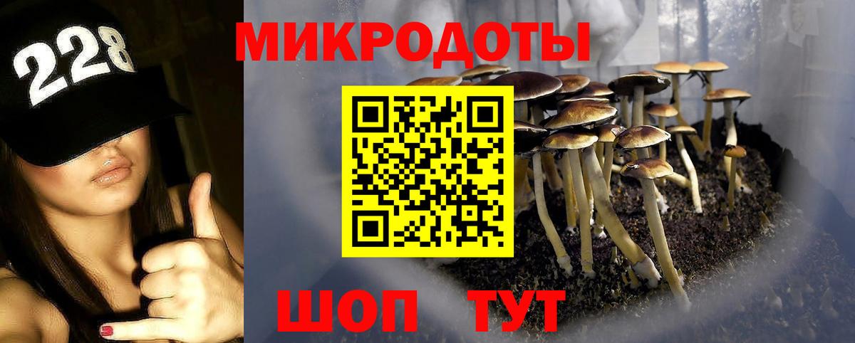 Псилоцибиновые грибы GOLDEN TEACHER Дюртюли